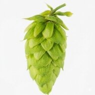 Hops Hops