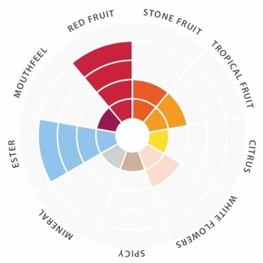Dried yeast 71B™ - Lalvin™ - 5 g