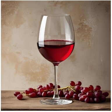 Red wine making kit from your own fruit juice
